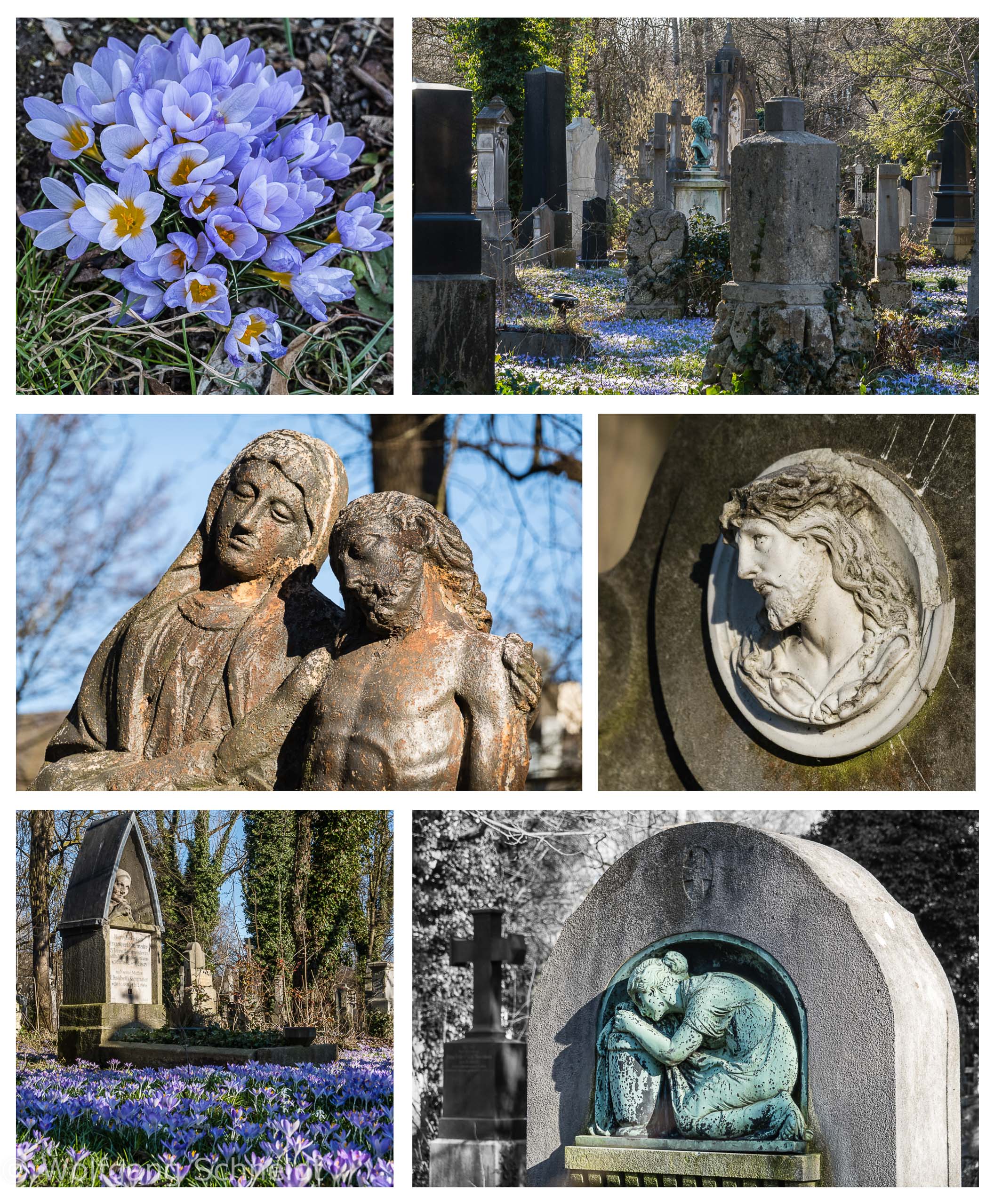 Südfriedhof 15