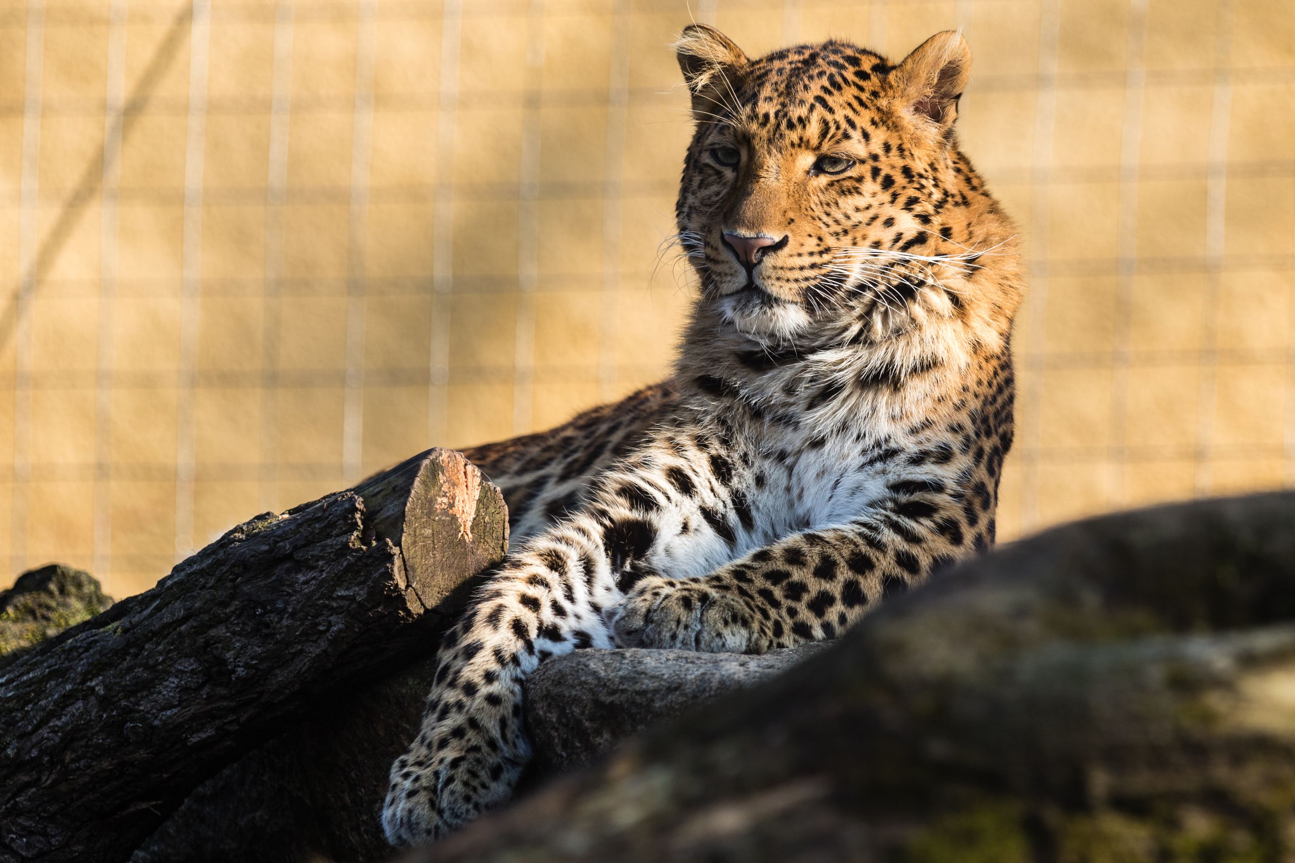 Tierpark2015 7