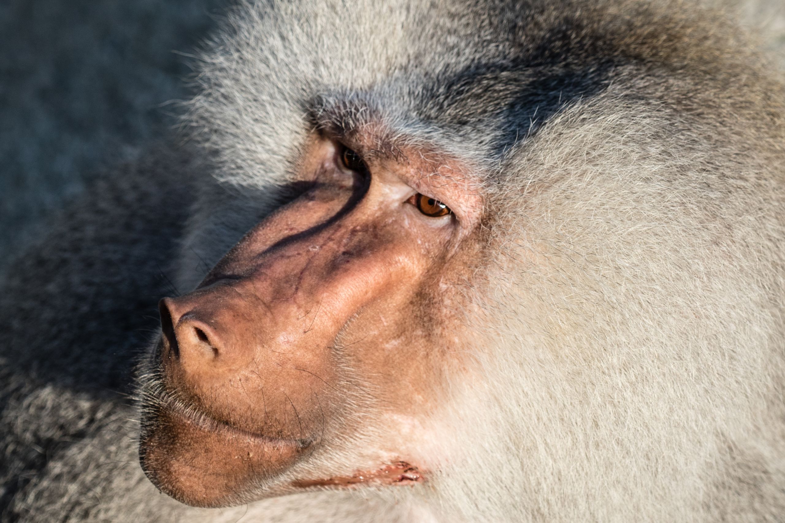 Tierpark2015 8