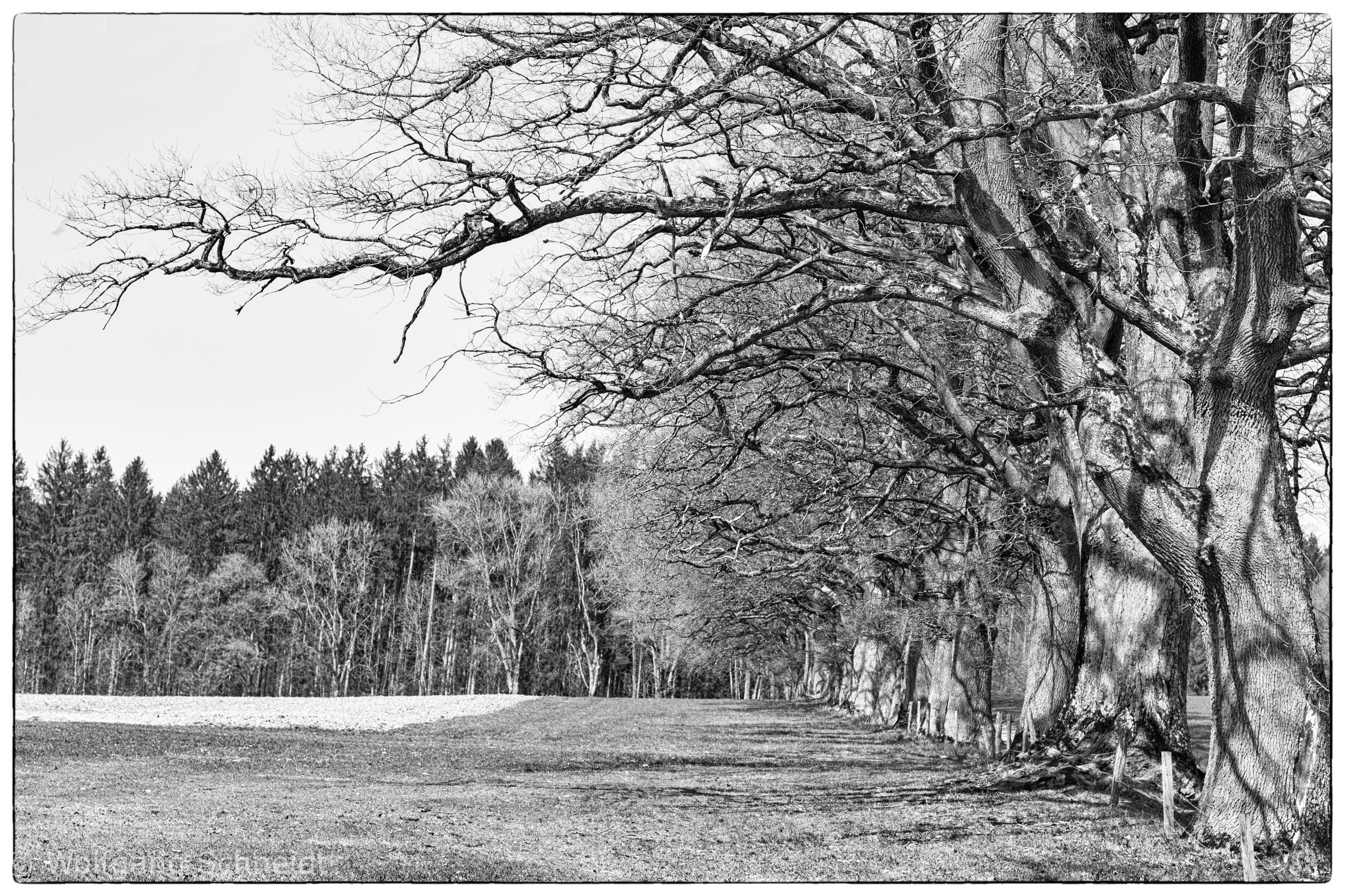 MG 2600 Bearbeitet Bearbeitet