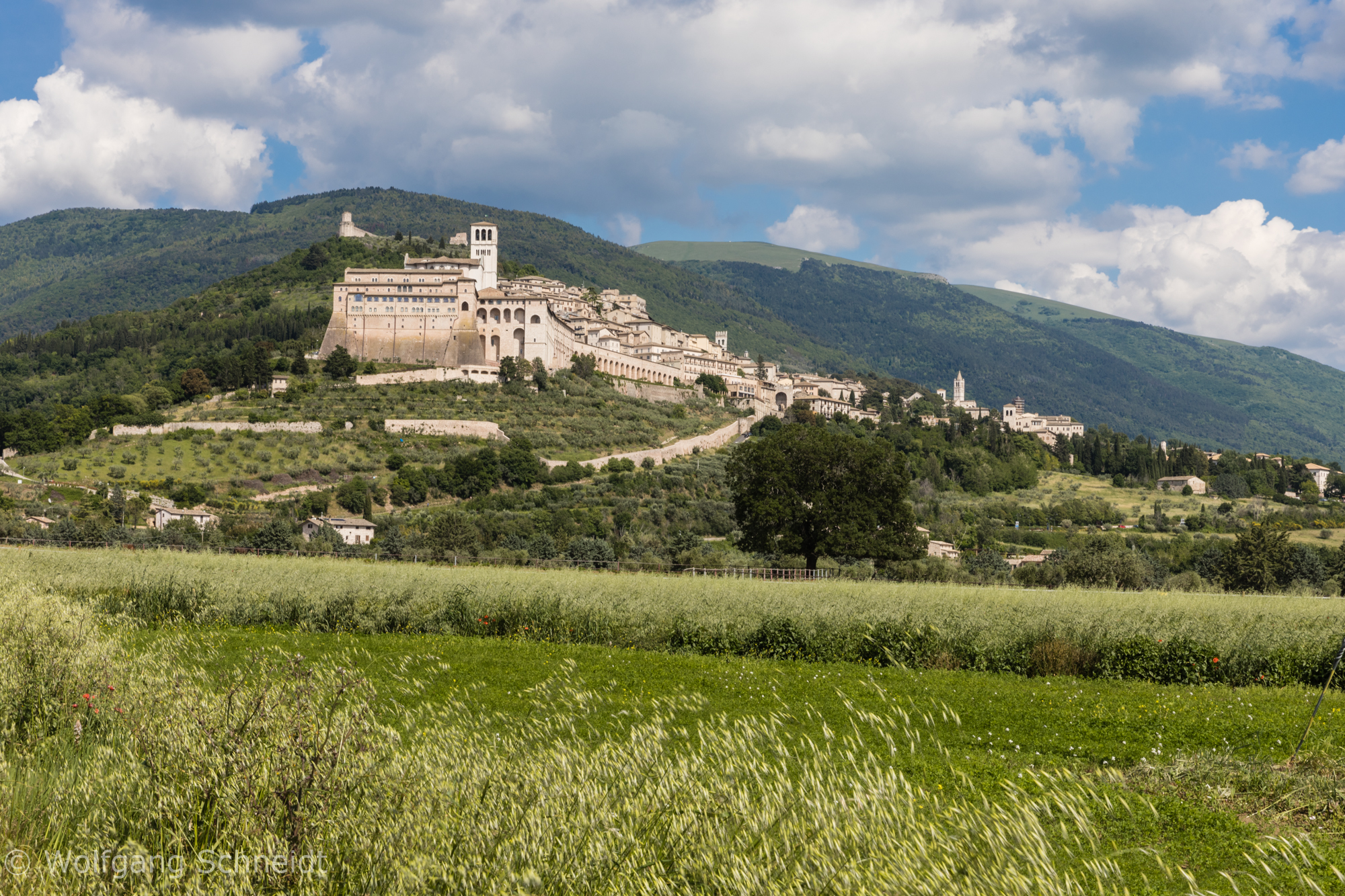 Assisi