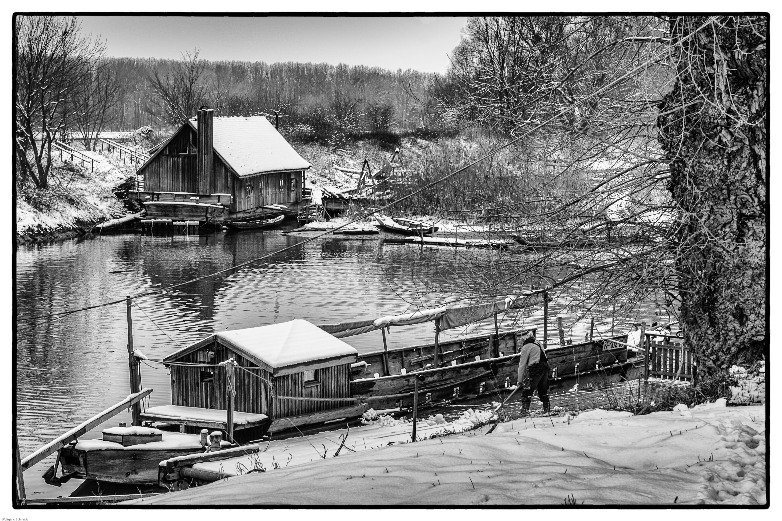 Donau Auen Im Winter