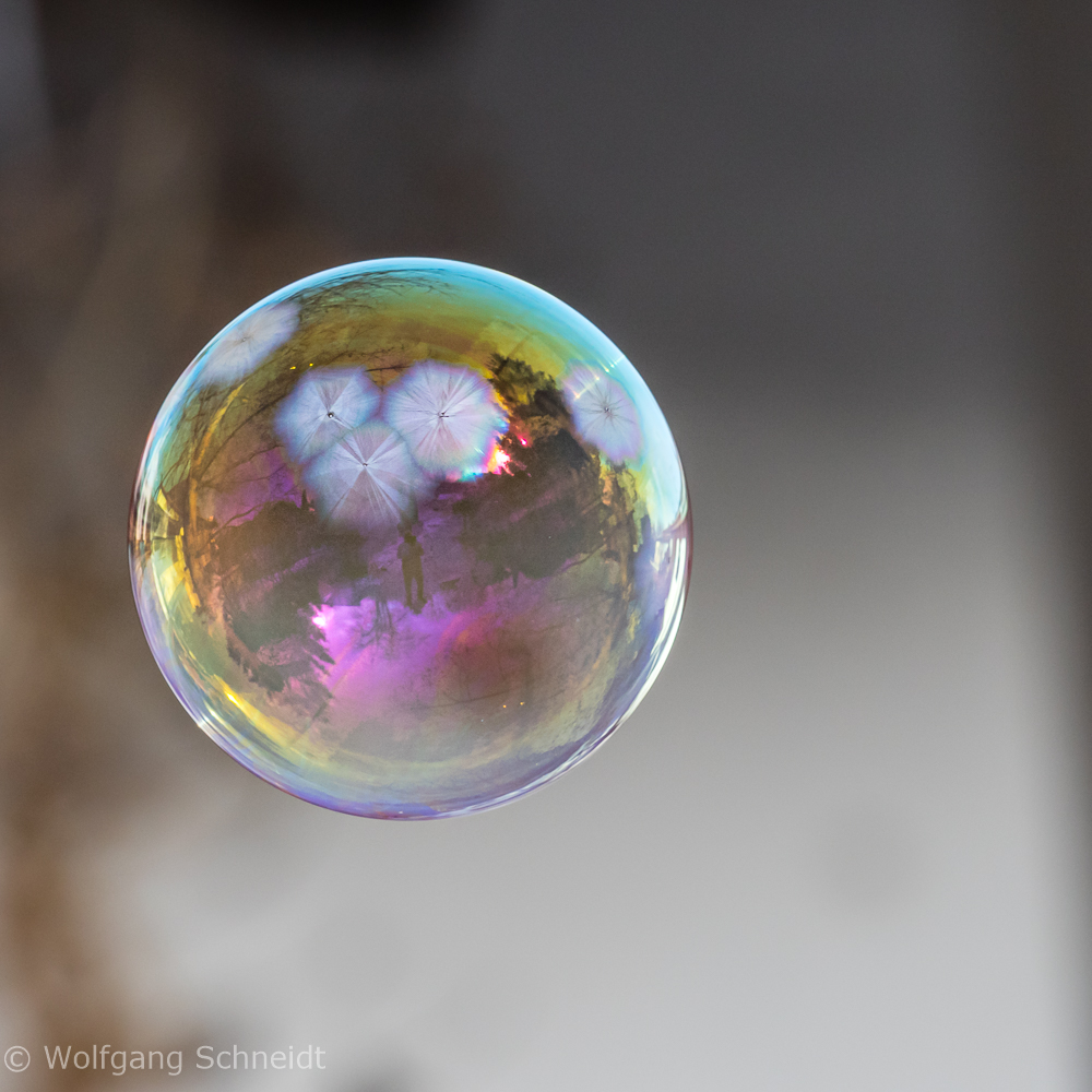 Bubbles 10
