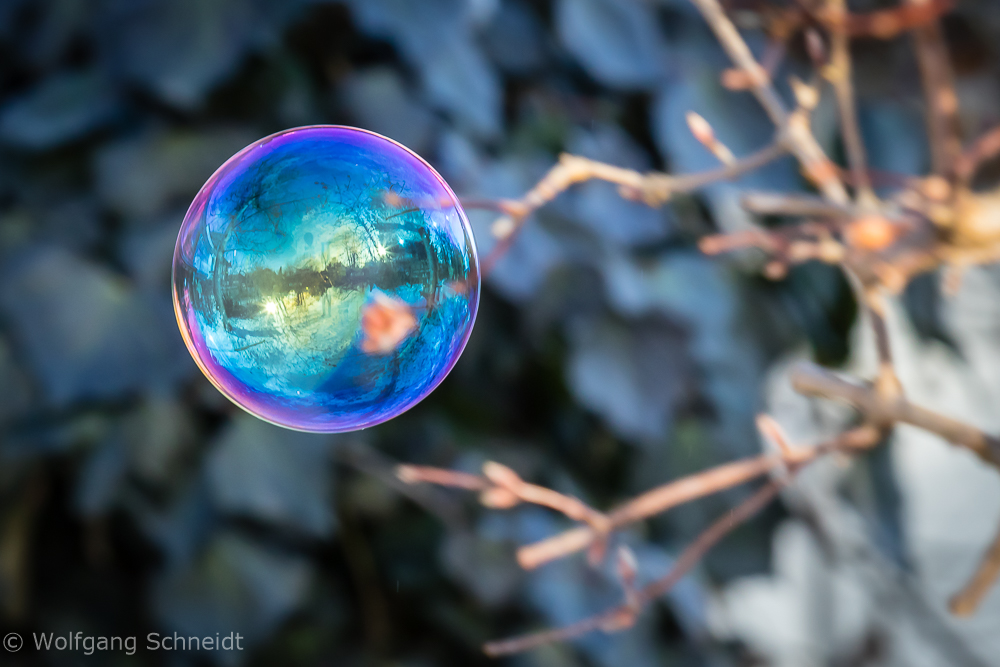 Bubbles 14