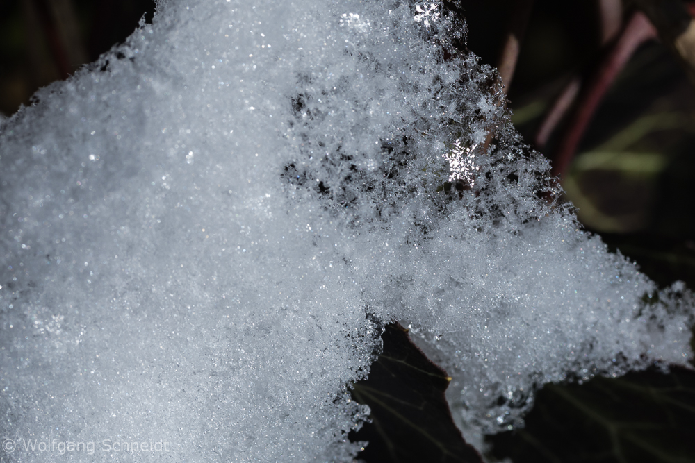 Eis Schnee 5