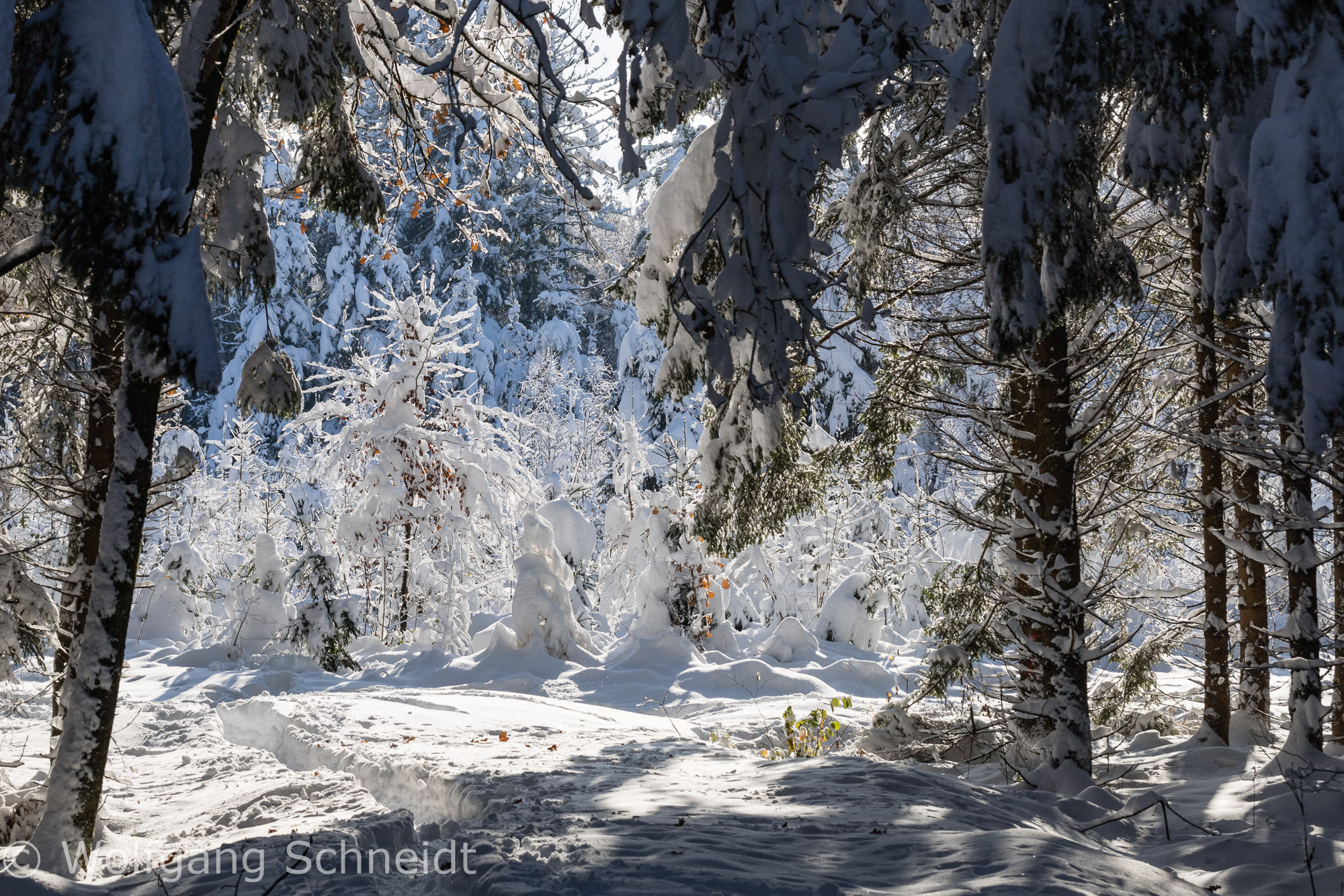 Wintereinbruch23 14