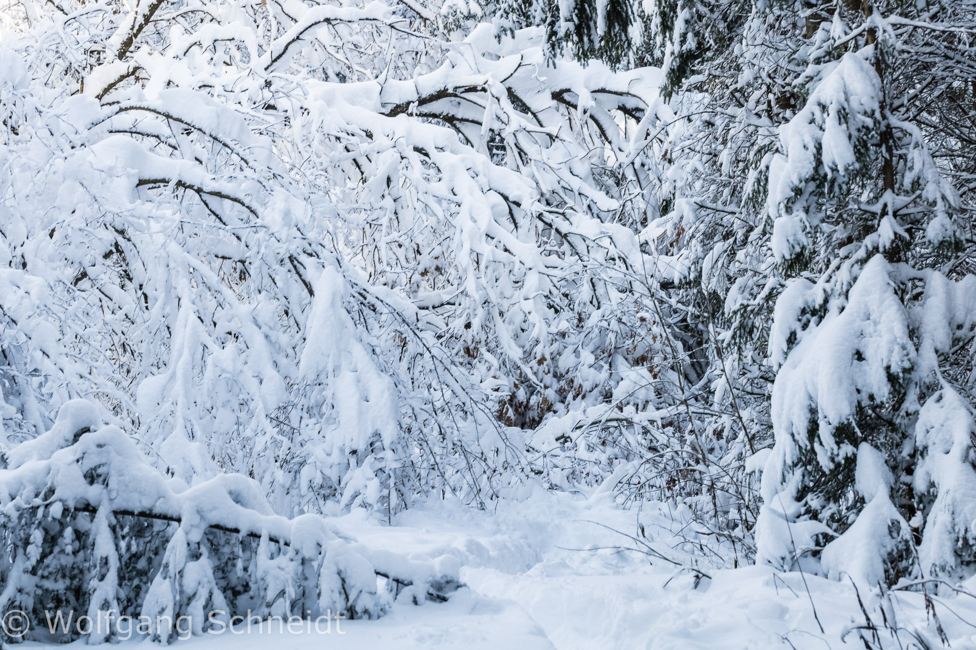 Wintereinbruch23 16