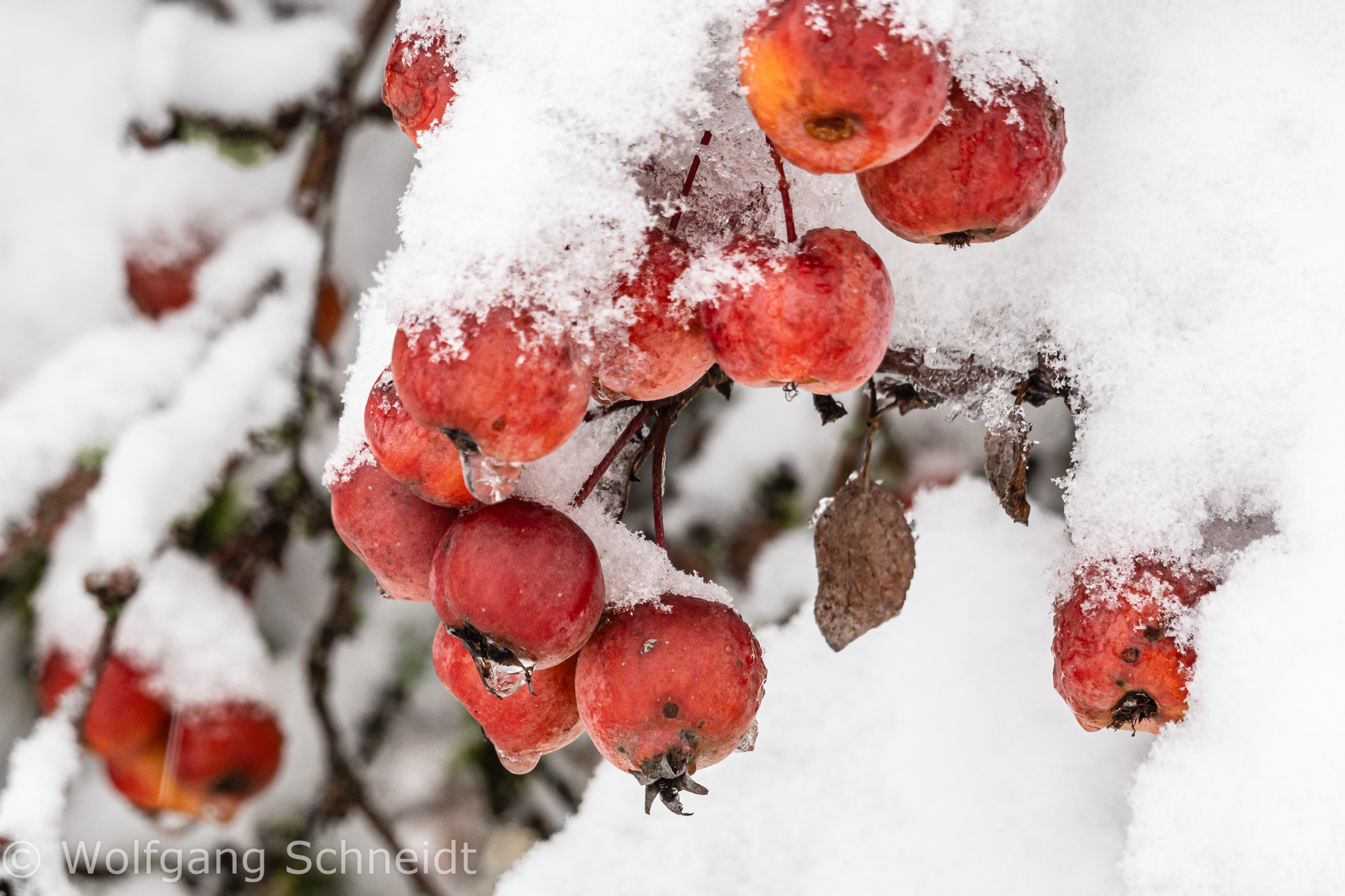 Wintereinbruch23 6